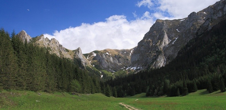 07-IMG 8501 -- Droga powrotna - rzut oka na otoczenie Wielkiej Polany