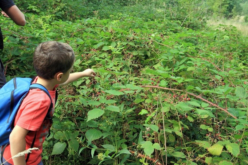 01-IMG 3444 -- Przystanek degustacyjny