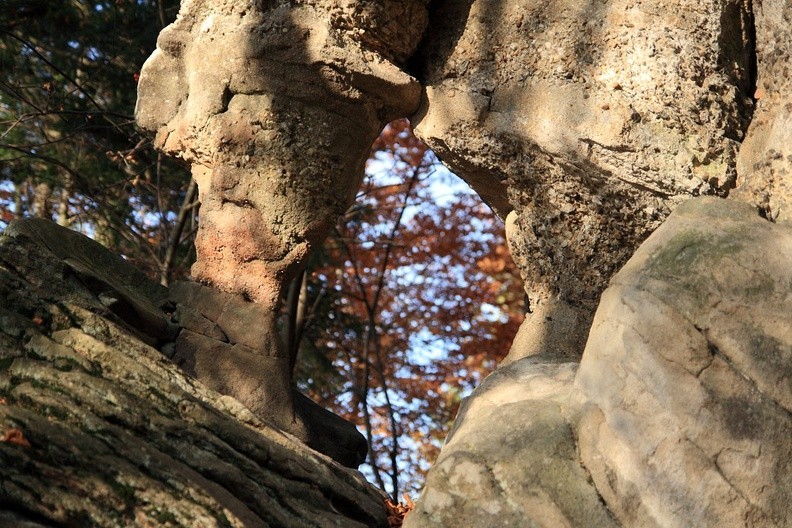 05-IMG 0758 -- Oko jesieni