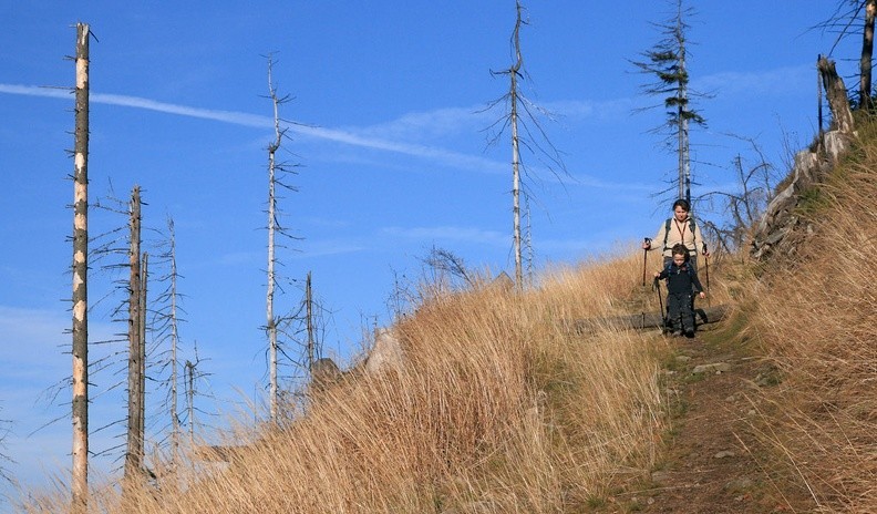 11-IMG 1058 -- Powrót w dolinę Białej Wisełki