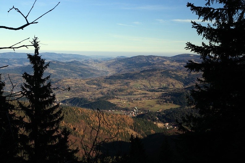 25-IMG 1502 -- Widok na północny wschód. Pod nami Korbielów Górny i, nieco dalej, Krzyżówki, ulokowane pod Przyborowcem. Kolejne grzbiety
stapiają się ze sobą, jednak z tyłu wyraźnie widać Lachów Groń, opadający w lewo do górnej części doliny Koszarawy.
Po jej zachodniej (lewej) stronie oglądamy porośnięte drzewami zbocza Lasku i Zapadlisk. Z kolei na prawo od Lachów Gronia
wznosi się Jałowiec – z charakterystyczną plamką Hali Trzebuńskiej (tuż pod świerkową gałązką)