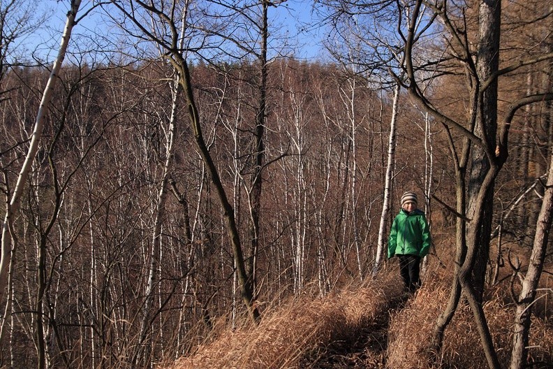 07-IMG 4650 -- Ponad trudnościami, na grzbiecie