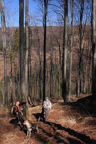 05-ep -- Zespół eksploracji powierzchniowej – analizowanie sytuacji