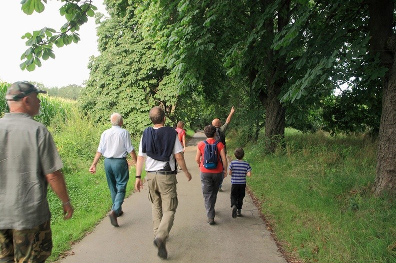 02-IMG 6690 -- Międzyświeć – aleja kasztanowa