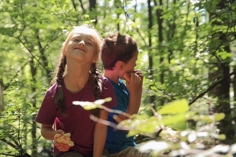 47-IMG 6941 -- Bułka pod Bradą