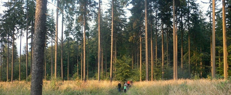 03-P1240327 -- (...)