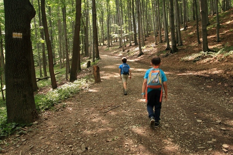 02-IMG 7087 -- Na szlaku