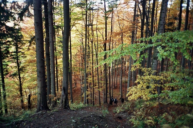 21-0485 15 -- Zejście do Przełęczy Cichej: wariant dla wtajemniczonych