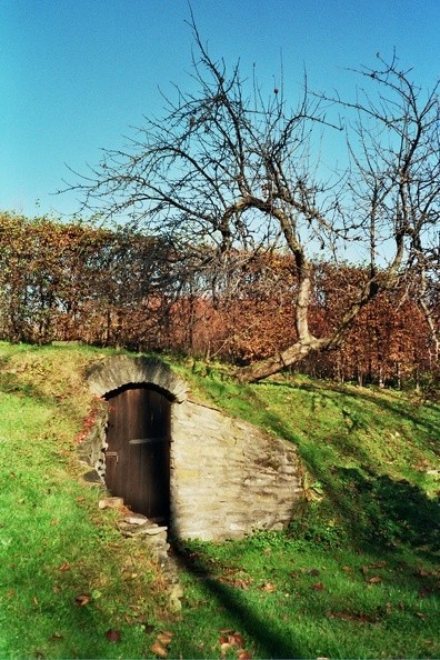 03-0011 25 -- Piwniczka na tyłach stryszowskiego dworu