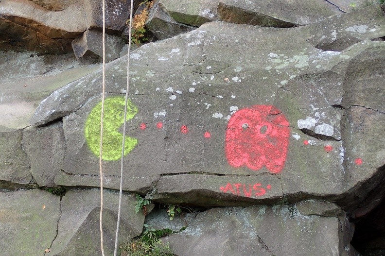 04-PA020211 -- <i>Pacman</i> beskidzki