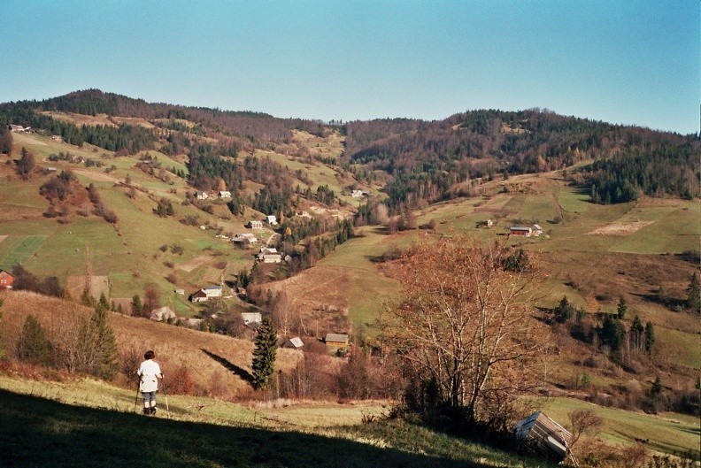20-0146 28 -- Zejście do doliny potoku Jamne. Po drugiej stronie grzbiet Jaworzynki Gorcowskiej