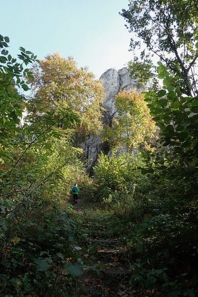 12-PA090434 -- (...)