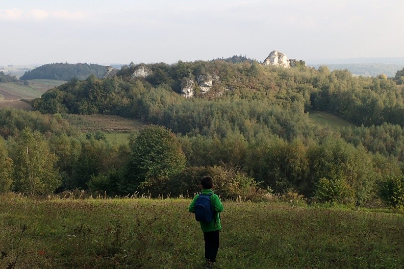 16-PA090445 -- Spojrzenie w kierunku skał Krzywość i Pośrednica