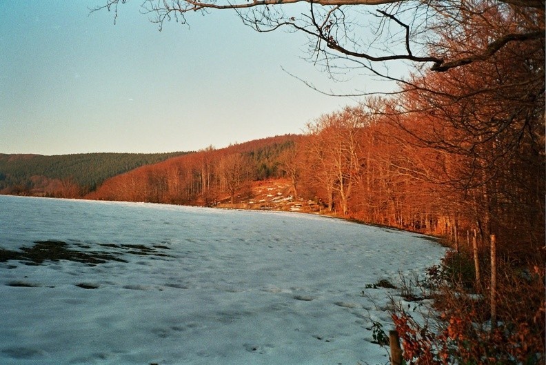 13-0530  21 -- Złocista zatoka