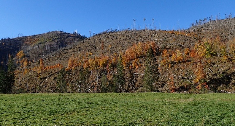 04-PA230058 -- Trzy lata po huraganie