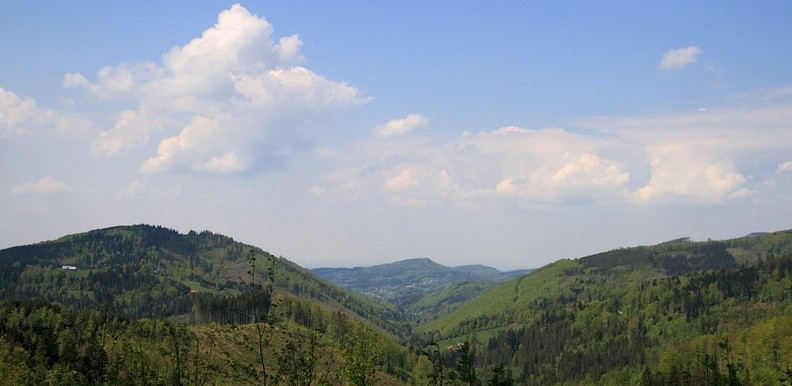 08-IMG 3432 -- Nad doliną potoku Głuchowa