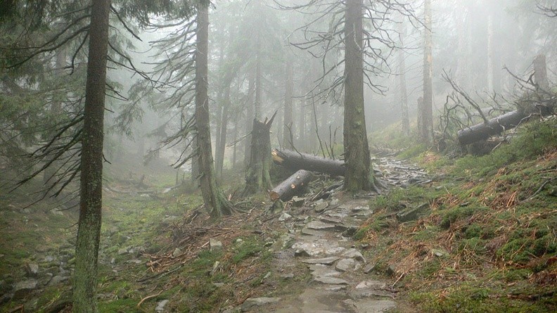 01-P1240210 -- Dolinka Szumiącej Wody