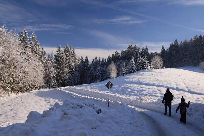 12-IMG 7574 -- I właśnie tak powinien wyglądać porządny zimowy spacer