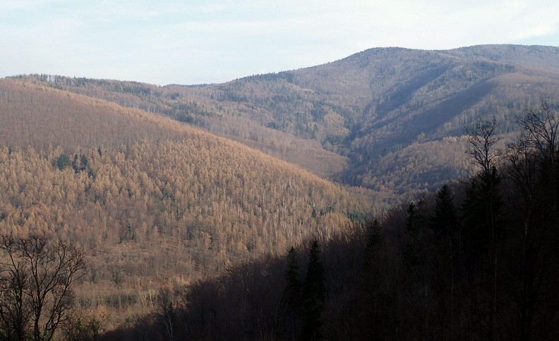 06-P3250038 -- Widok ze zboczy Palenicy na otoczenie doliny Żydowskiego Potoku:
po lewej rozłożyste zbocza Cybernioka, po prawej grzbiet Mieczysk, w centrum – Szyndzielnia