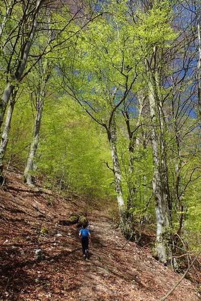 06-P5010298 -- Brąz, zieleń, błękit