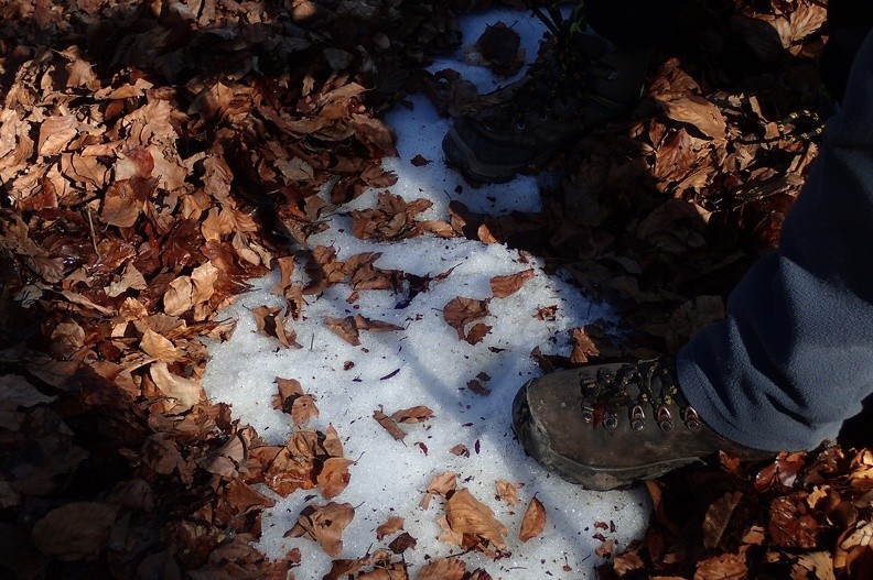 19-P5010341 -- Ślad po zimie – niepozorny, może jeden z ostatnich,
jakie w tym sezonie oglądamy na "beskidzkich" wysokościach