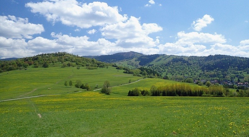 17-P5140112 -- Rozległe zbocza Gronia, w głębi rejon Redykalnego Wierchu, nieco bliżej Prusów i Borucz