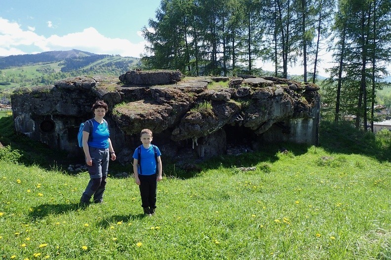 20-P5140122 -- Spękana skorupa fortu "Wąwóz"