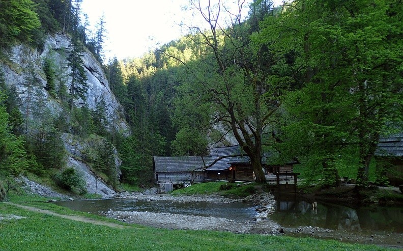 50-P5280264 -- Oblazy – magiczne miejsce, w którym zatrzymał się czas