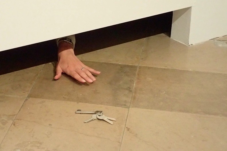 37-P9140086 -- Laura Lima eksploruje "marginesy naszej percepcji". W tym celu "tworzy wymykające się łatwej klasyfikacji obrazy,
umieszczając żywe istoty w nieoczywistych relacjach z obiektami i przestrzenią"
– czytamy w tekście kuratorki tej wystawy, Agnieszki Sosnowskiej