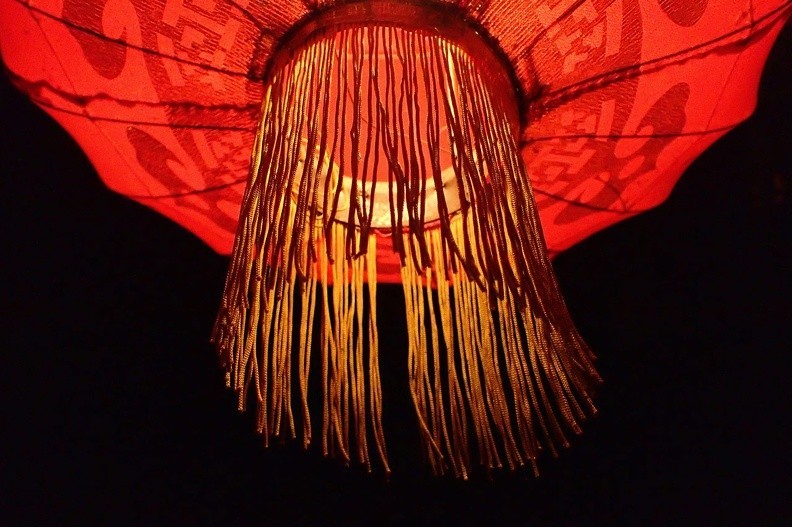 60-P9140148 -- Nocna meduza