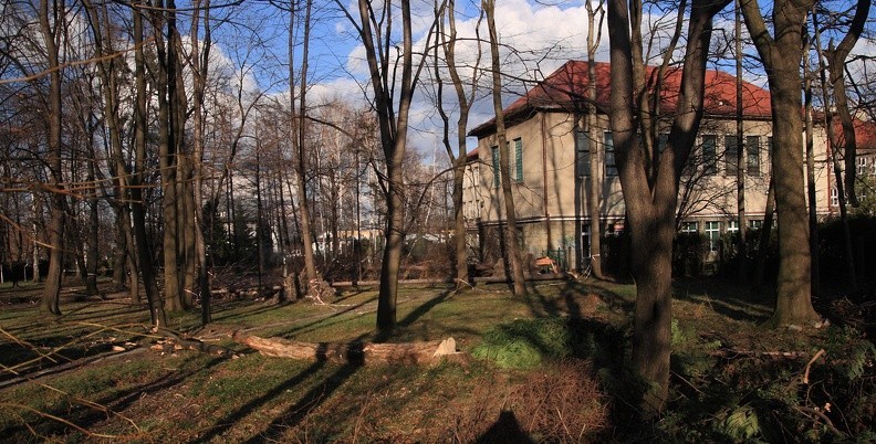 11-IMG 0534 -- Widok od południa