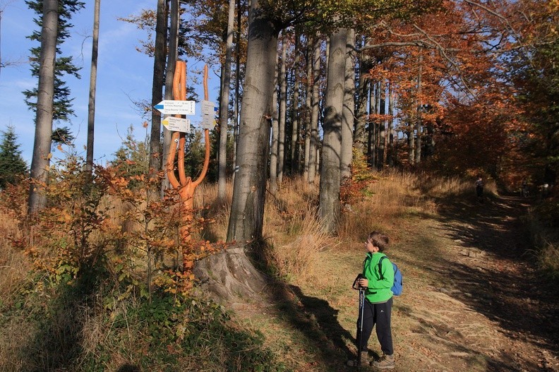 22-IMG 9761 -- Rozstaje na grzbiecie łączącym Cyl z Mosornym Groniem