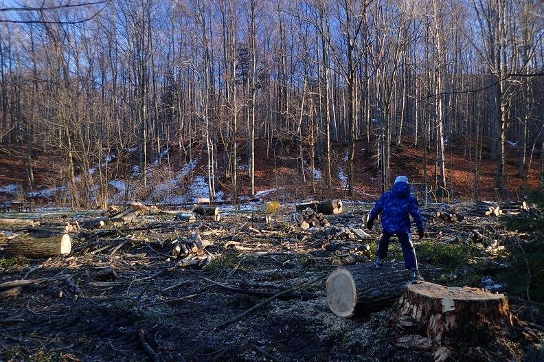 01-PC070009 -- Wylot doliny Wapienicy: krajobraz po wycince