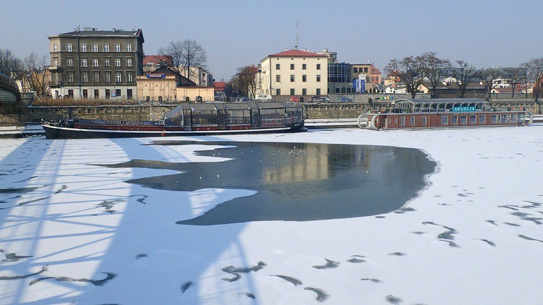 10-P3010074 -- <i>Szklana jaskółka</i> – kompozycja horyzontalna