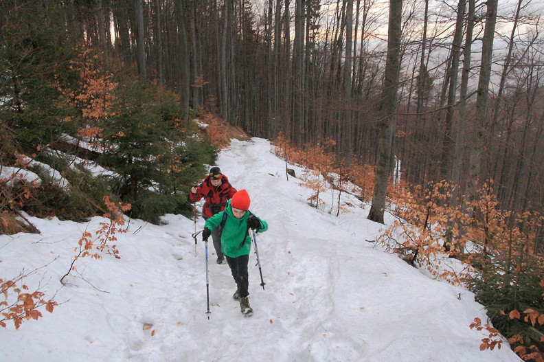 06-IMG 1627 -- Na żółtym szlaku