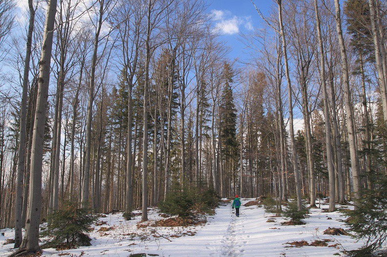 22-IMG 1820 -- Na północno-zachodnim ramieniu Jałowca
