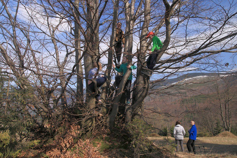 21-IMG 2017 -- <i>Beskidian Vertical Adventure Park</i>