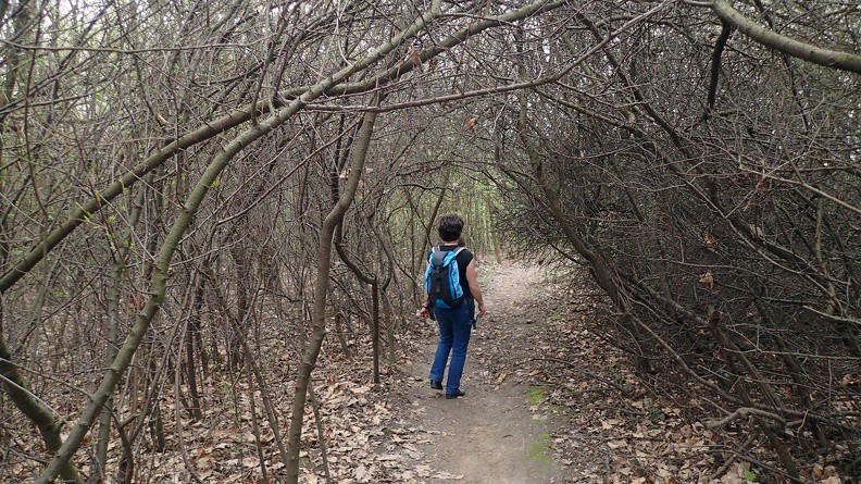 47-P4130144 -- Ażurowy tunel