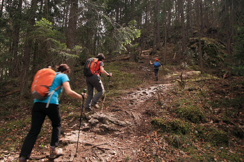 024-IMG 2276 -- ..."Stromy Chodniczek"