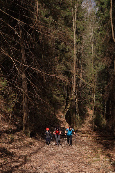 026-IMG 2284 -- W trakcie postoju Sebastian przeczesywał zawieszone nad Zemianskou dolinou zbocza
w poszukiwaniu pewnej jaskini, lecz znalazł tylko inny, mniejszy obiekt. Teraz wznosimy się
czymś w rodzaju żlebu
