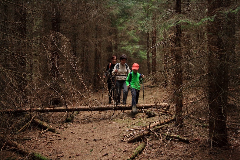 109-IMG 2510 -- Z powrotem na czerwonym szlaku