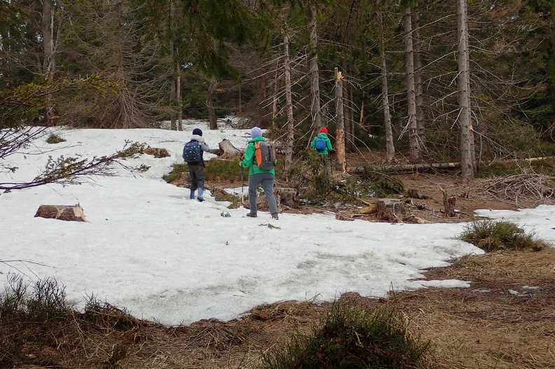 53-P4100513 -- W dzikich ostępach Beskidu Śląskiego / 3