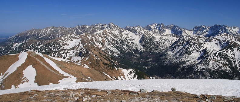 050-IMG 2656 -- Otoczenie górnej części Cichej Doliny. Po lewej stronie "nasza" grań biegnie przez Kondracką Kopę i (gubiącą się wśród mnogości plam) Goryczkową Czubę na (wyraźniejszy) Kasprowy Wierch. Za niepozornym Beskidem, na przełęczy Liliowe kończą się Tatry Zachodnie, zaczynają Wysokie. Minąwszy Skrajną i Pośrednią Turnię grań wspina się na Świnicę – pierwszy wybitniejszy szczyt tych ostatnich. Na lewo
od Świnicy, w grzbiecie odgałęziającym się już od głównej grani, czernieje Kozi Wierch. Kiedy grzbiet ów obniża się w okolicę Buczynowej Strażnicy, z tyłu wyrasta Lodowa Kopa, która przechodzi w monumentalny Lodowy Szczyt. Gdy z kolei grań Lodowego opada do Śnieżnego Szczytu, na samym horyzoncie swą obecność zaznacza Łomnica, której po lewej towarzyszy masyw Durnego i Małego Durnego Szczytu. Najniższą w tym fragmencie ostatniego planu górą są Baranie Rogi. Wracając do planu z Buczynową Strażnicą: grań przechodzi
przez Granaty do znacznie niższej Żółtej Turni, widocznej na tle Waksmundzkiego Wierchu i Wielkiej Koszystej. Po tej stronie zdjęcia zupełnie z tyłu wystają dwa szczyty Tatr Bielskich: Płaczliwa Skała i (większy) Hawrań. Po przeciwnej, prawej stronie kadru widzimy północne skłony Liptowskich Kop. Od Wielkiej Kopy Koprowej odłącza się masyw Magury Rycerowej – podaje nam swe pulchne łapy. Wyższa, obła góra
tuż za nim to Zadnia Rycerowa Kopa, sąsiadująca z odsuniętą w głąb Wielką Garajową Kopą (w rzeczywistości wyższą od Zadniej),
przez którą główny grzbiet Kop "podąża" ku głównej grani Tatr Wysokich. Obraz w wersji niepomniejszonej: <a href="http://www.dziennikgorski.type.pl/zdjecia/pojedyncze/IMG_2656.jpg" target="_blank">LINK</a>