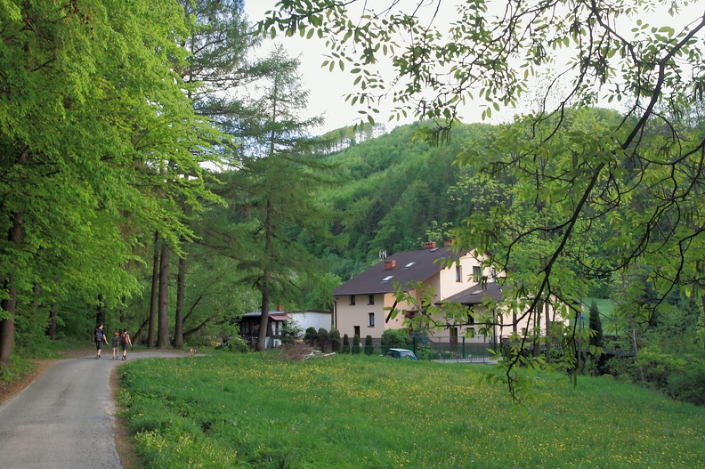 15-IMG 2855 -- Z powrotem w dolinie Szerokiego Potoku