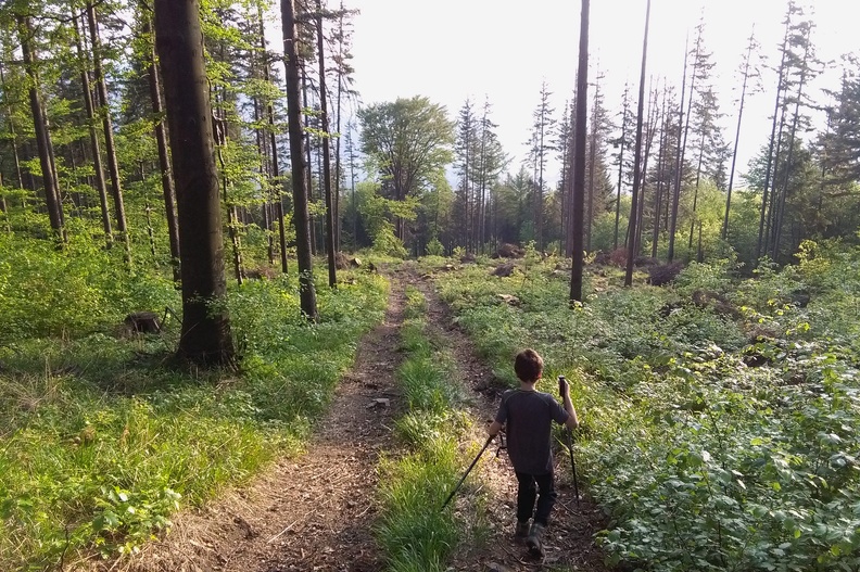 34-IMG 184757-180502 -- Zejście na stronę południowo-zachodnią
[Fot. z telefonu]