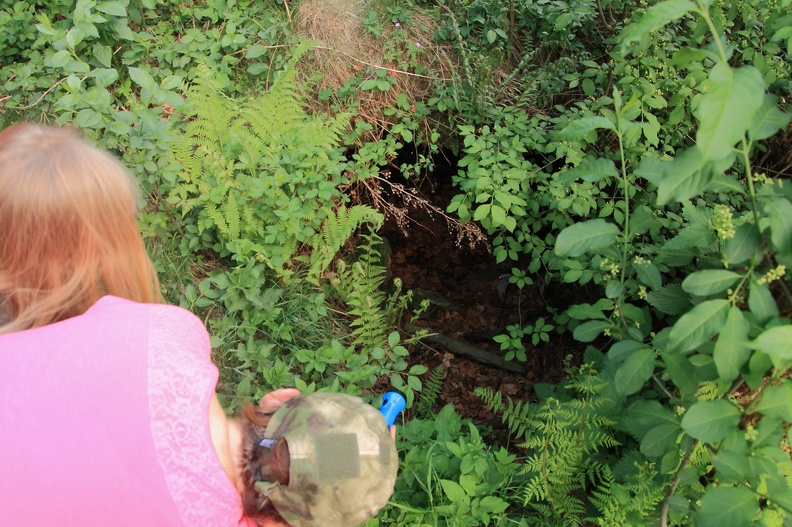 10-IMG 2894 -- W tym miejscu stał pierwszy na Grabce dom, zamieszkały przez rodzinę Czyżów od początku XIX wieku. W 1888 roku, przebudowany,
przyjął w swe mury ród Waliczków, którzy w 1964 roku przenieśli się niżej, do Jaworza Nałęża. Wówczas dom rozebrano. Pozostała po nim jedynie ta piwniczka