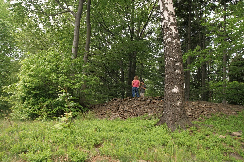 16-IMG 2908 -- Zajęcia w podgrupie