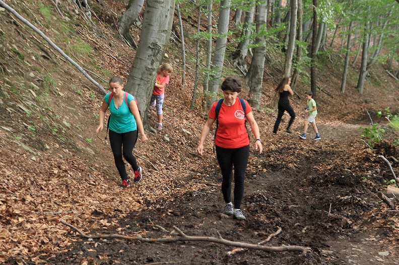 14-IMG 3855 -- Odcinek błotny