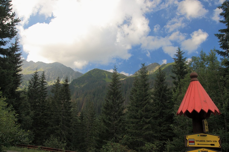 003-IMG 4281 -- Zadzieramy głowy w kierunku południowym