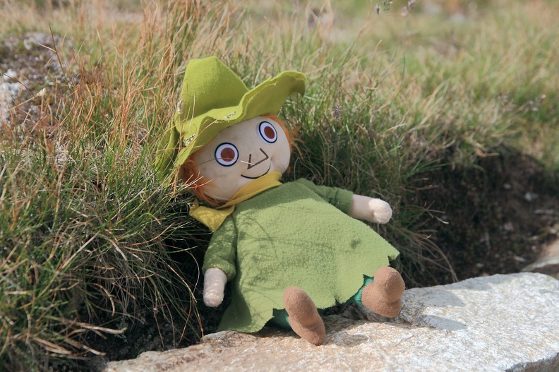 101-IMG 4539 -- ...tak naprawdę jest nas pięcioro – doliczając Włóczykija 